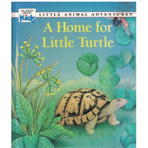 A home for little turtle