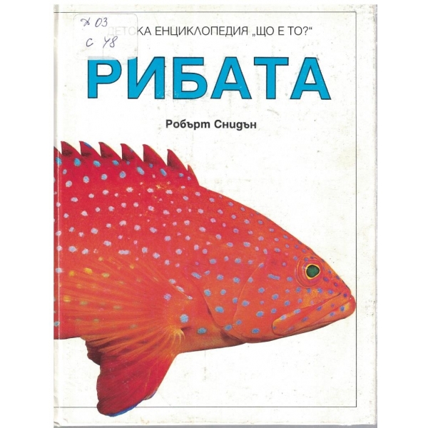 Рибата - том 2