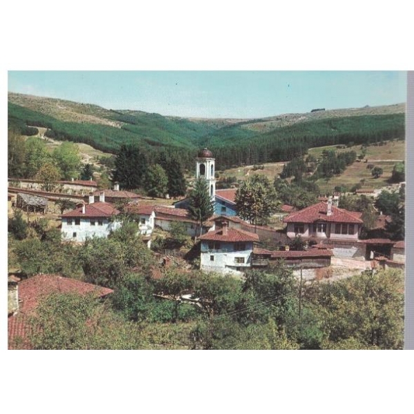 Копривщица - изглед