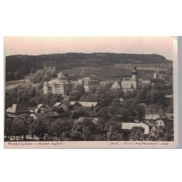 Puszczykow - Widok ogolny