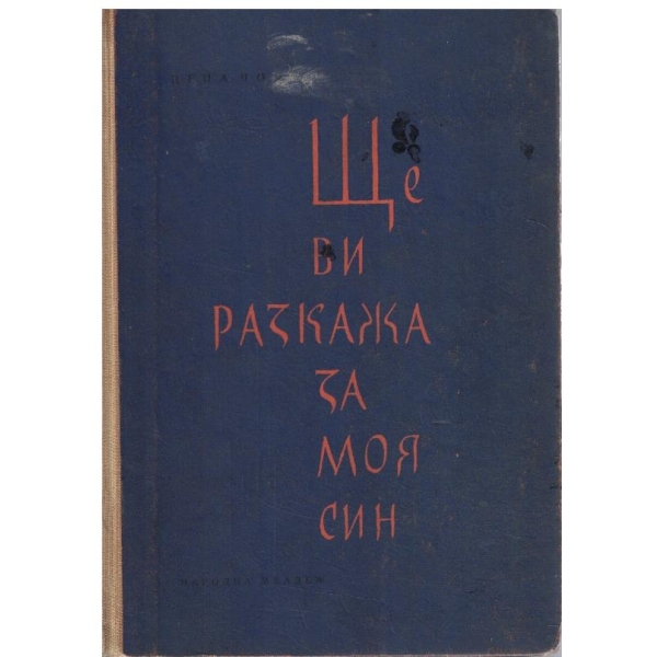 Ще ви разкажа за моя син