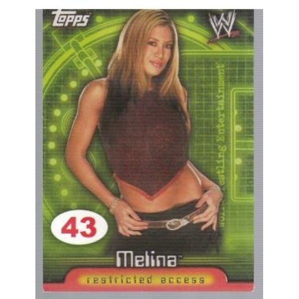 Wrestle Mania №43 Melina