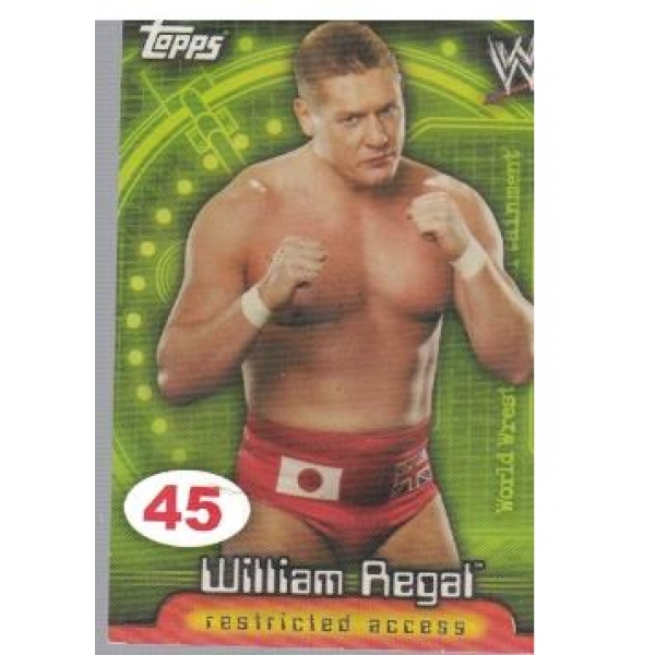 Wrestle Mania №45 William Regal