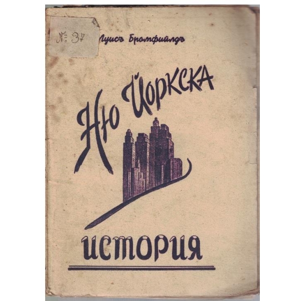 Ню Йоркска история