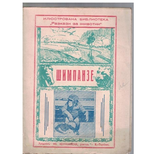 Шимпанзе