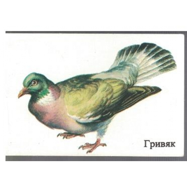 Гривяк