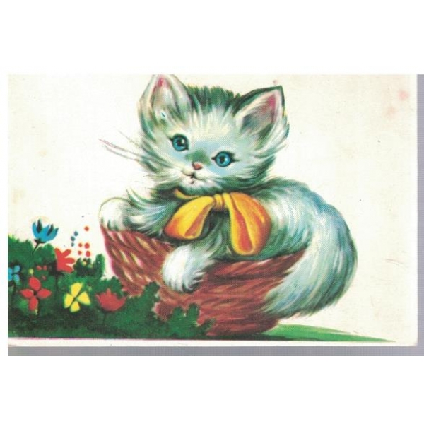 Котенце