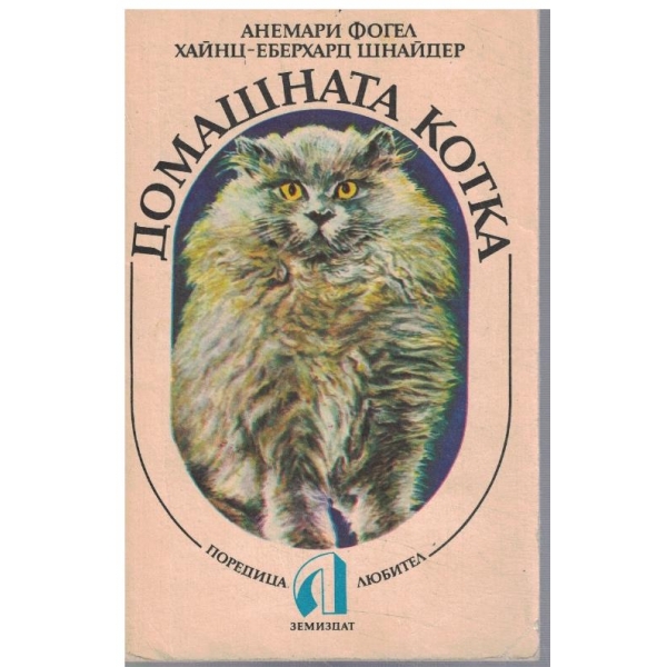 Домашната котка