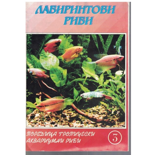Лабиринтови риби
