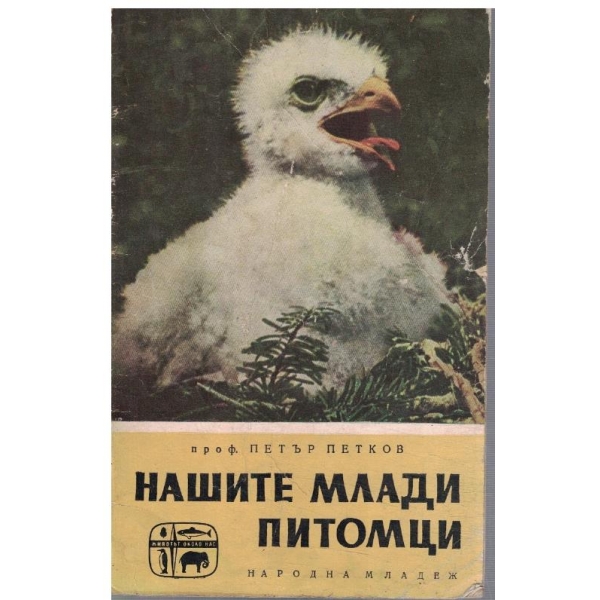 Нашите млади питомци