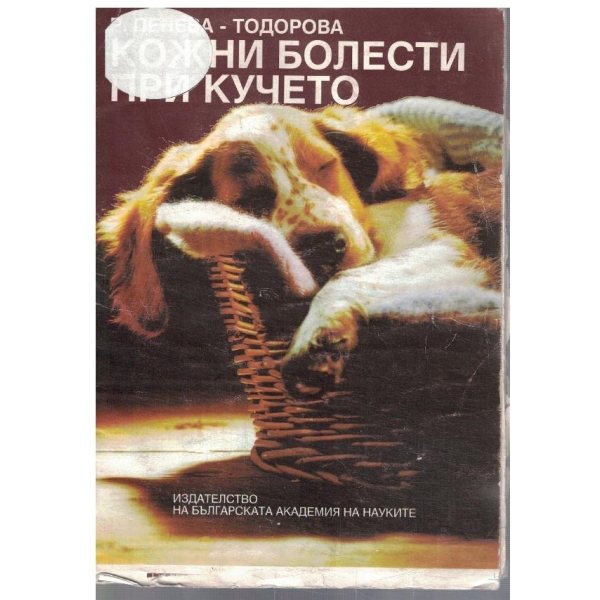 Кожни болести при кучето