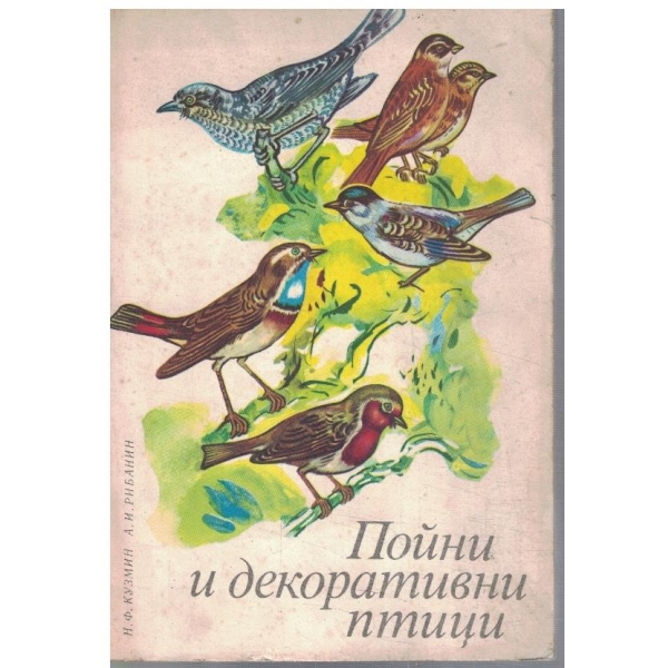 Пойни и декоративни прици