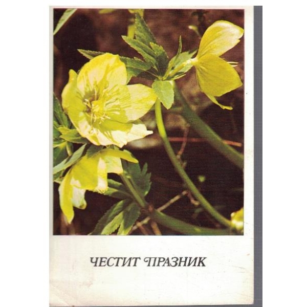 Честит празник