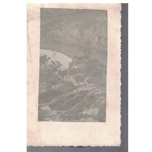 Post Card