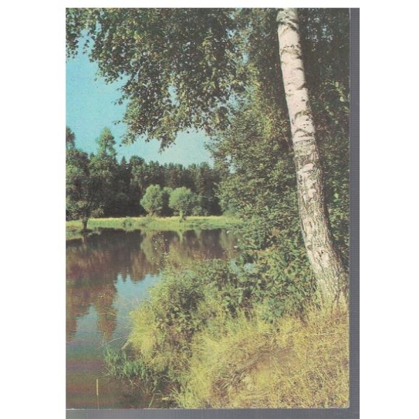 У реки