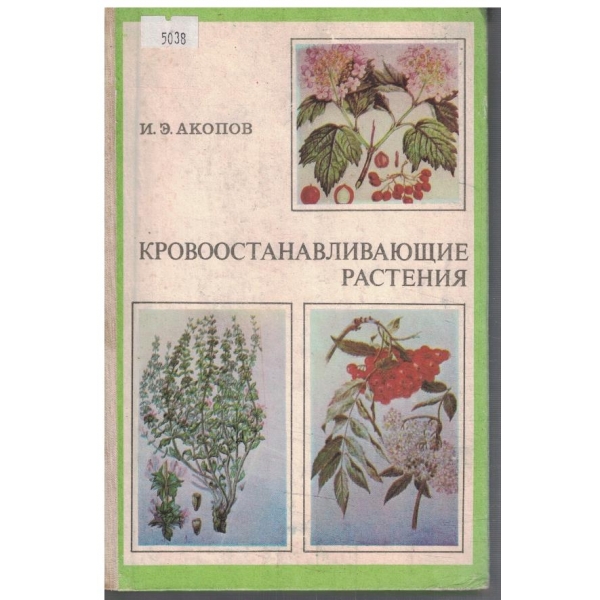 Кровоостанавливающие растения