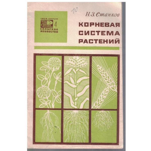 Корневая система растений