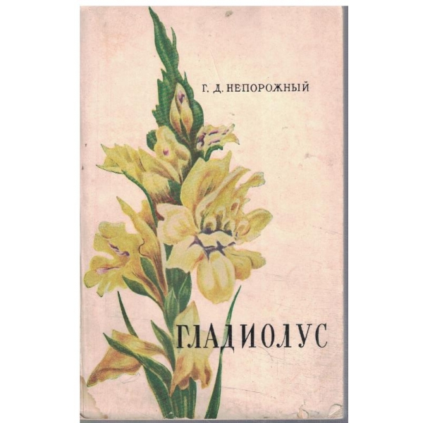 Гладиолус