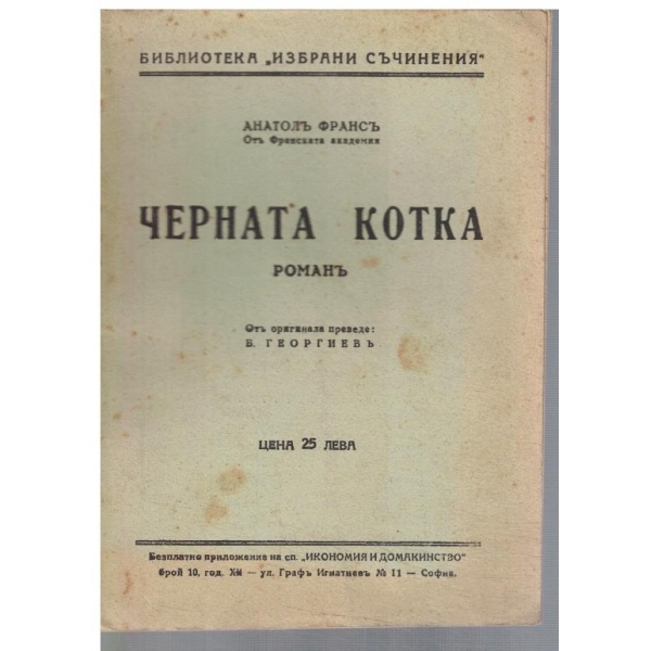 Черната котка