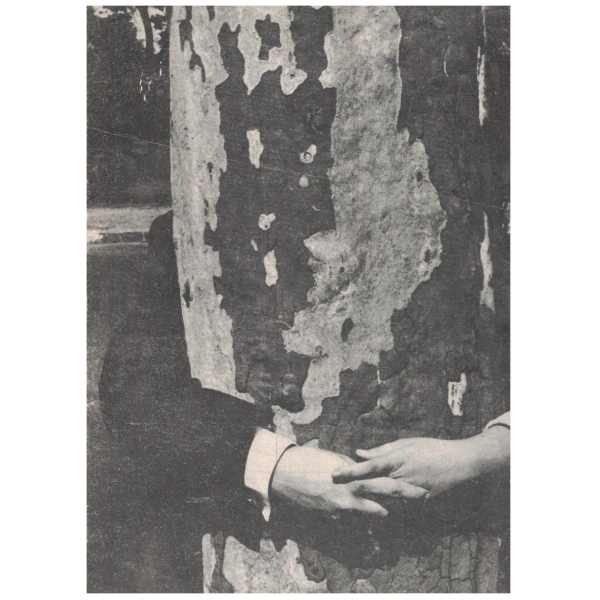 БТА бр.39/1969