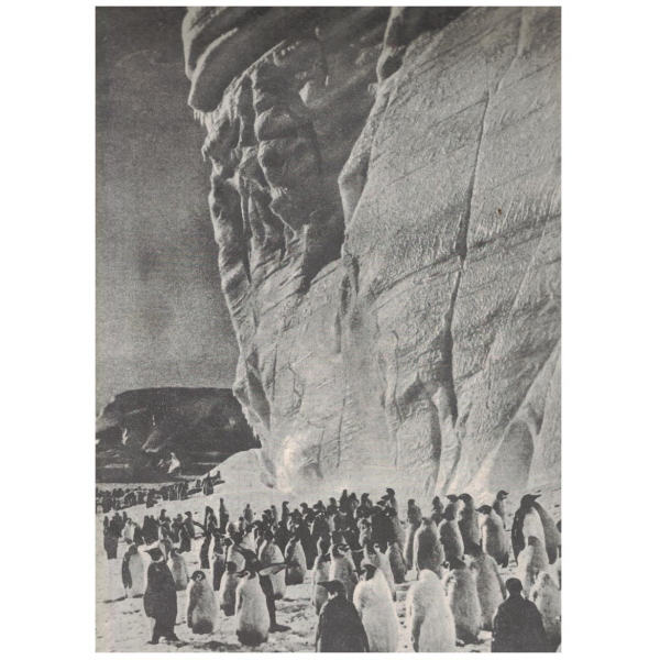 БТА бр.3/1969