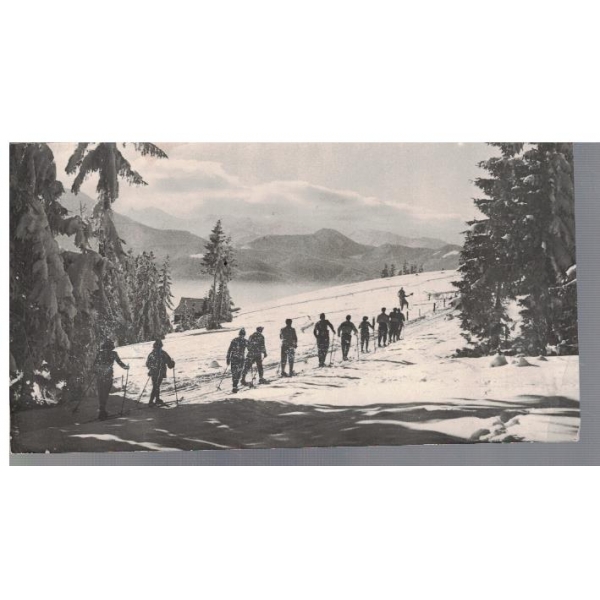 Tatry - Na Gubalowce