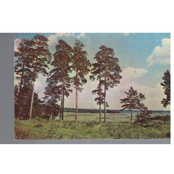 По Татарии - пейзаж