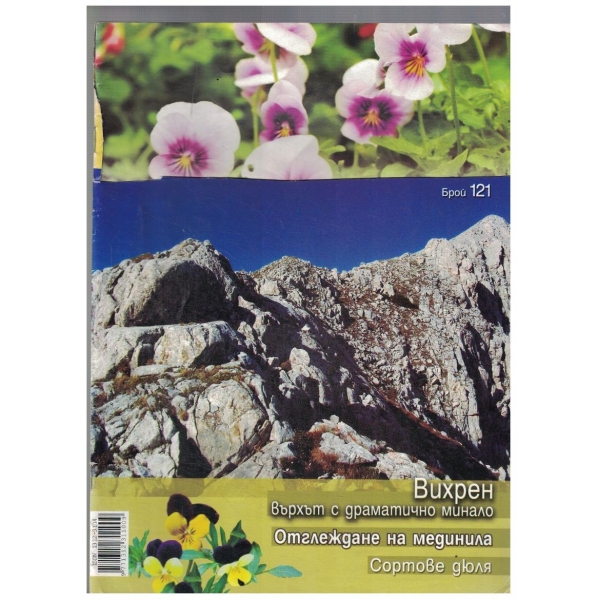 Зелен рай 121/2008