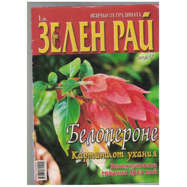 Зелен рай бр.60