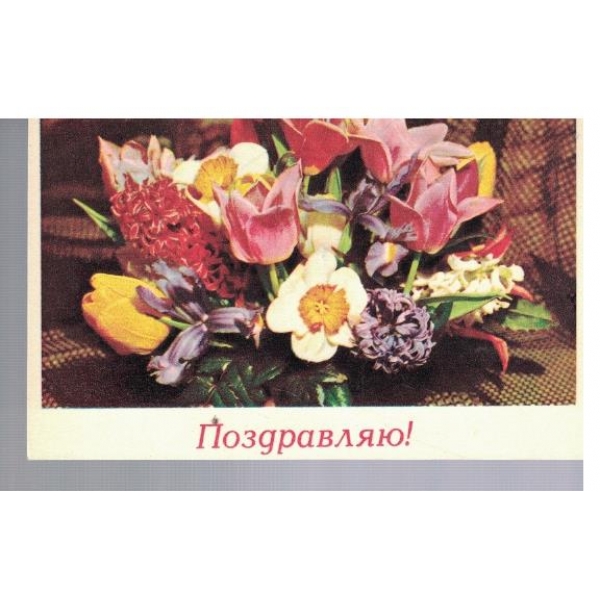 Поздравляю!
