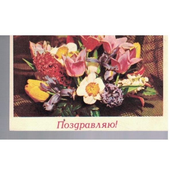 Поздравляю!