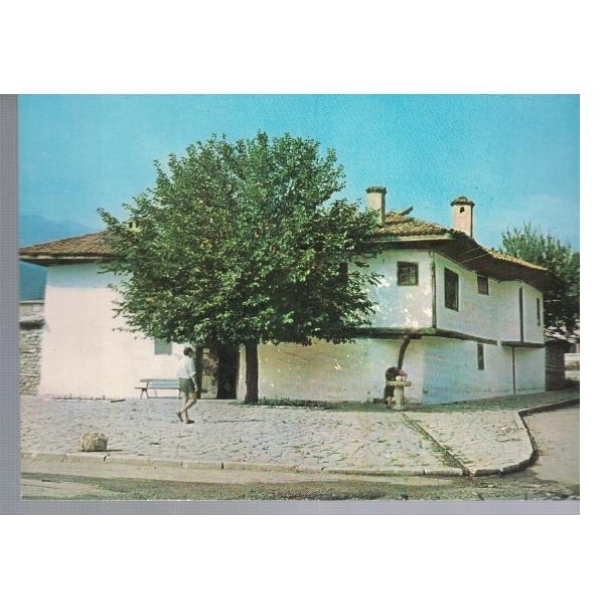Берковица