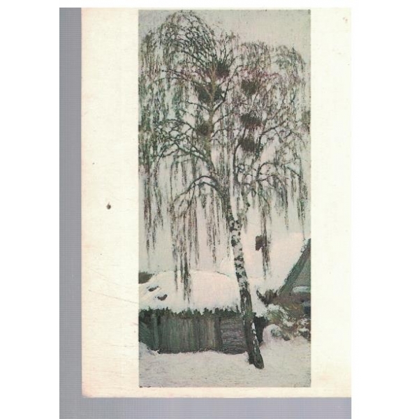Белая зима