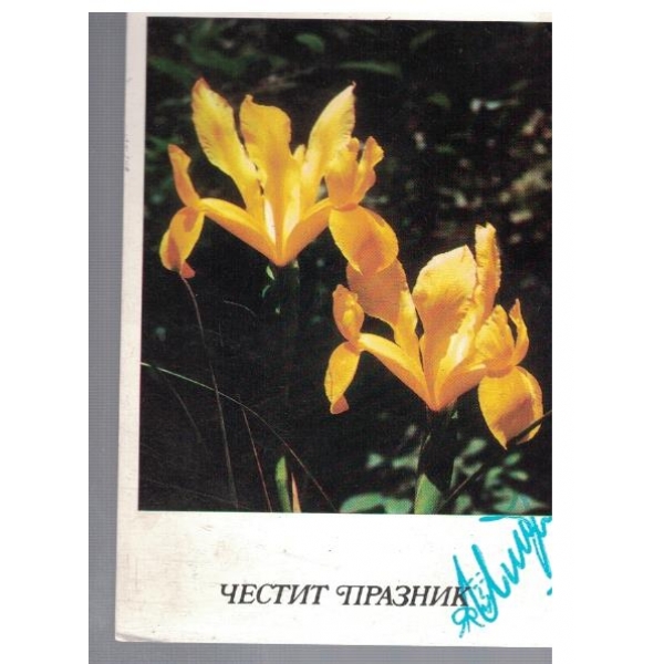 Честит Празник
