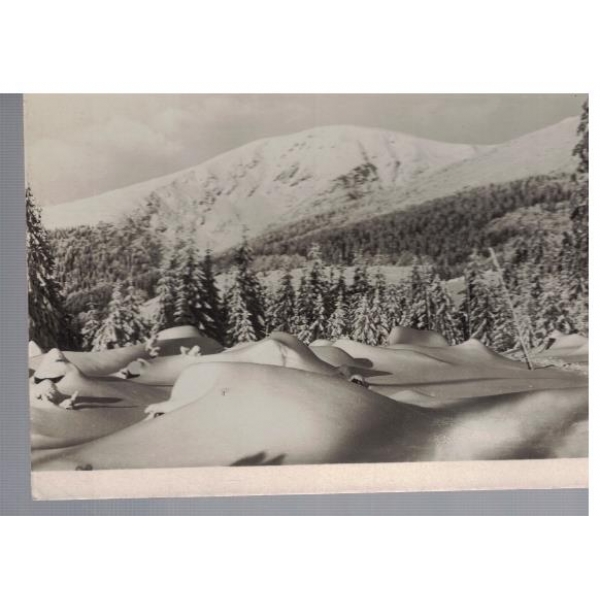 Krkonose