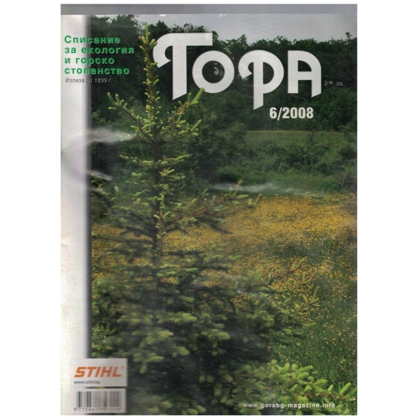 Гора 6/2008