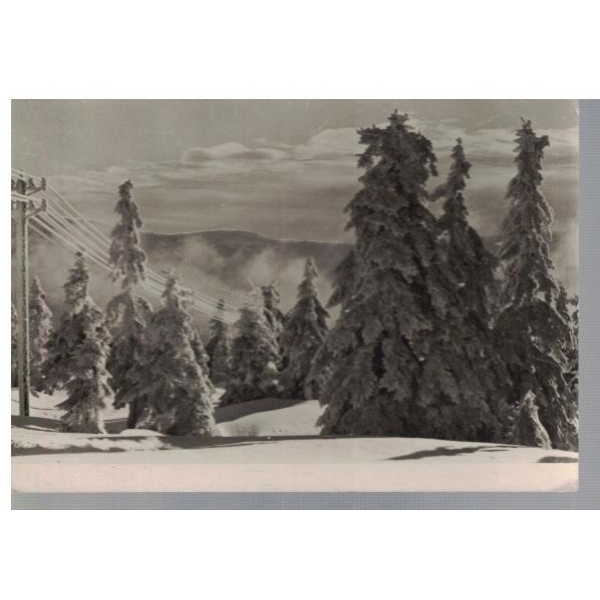 Krkonose