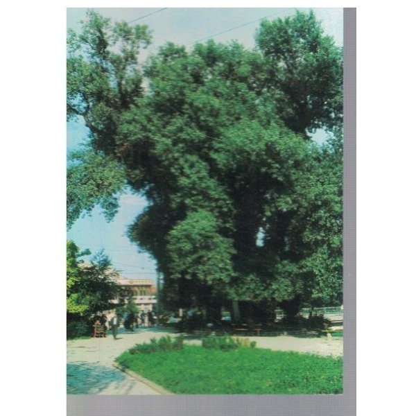 Пещера