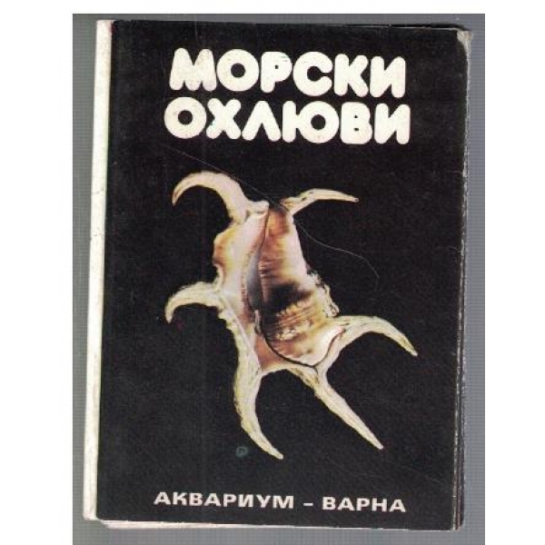 Морски охлюви