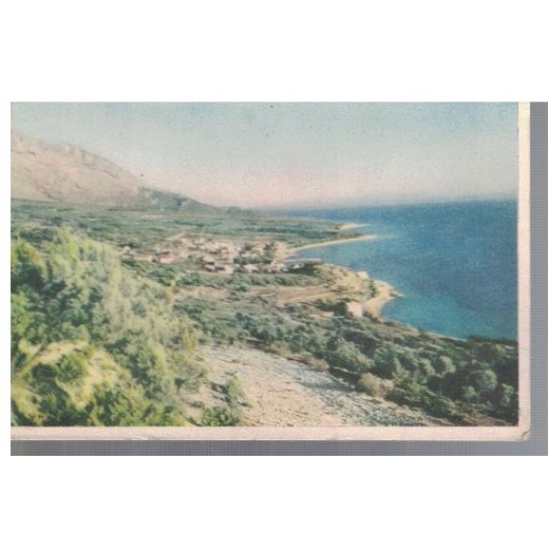 Baskavoda