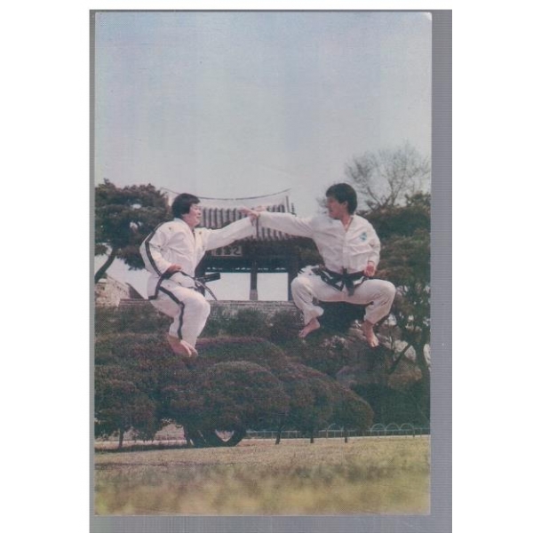 International Taekwon-Do Federation