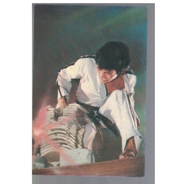 International Taekwon-Do Federation