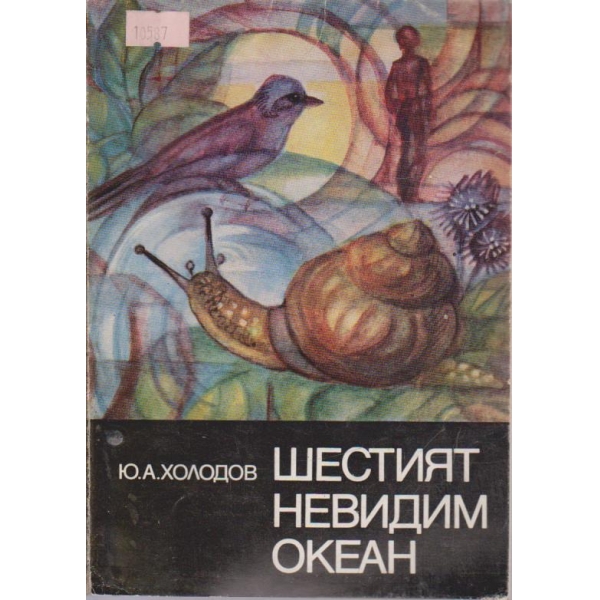 Шестият невидим океан