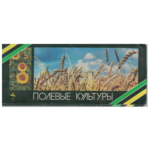 Полевьие культурьи-произход
