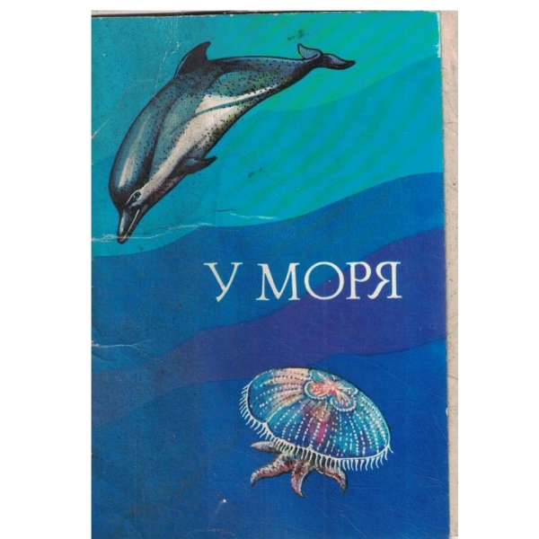 У моря