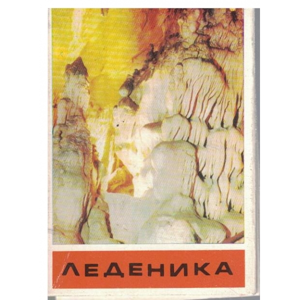 Леденика