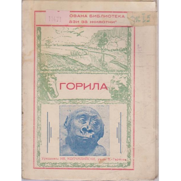 Горила