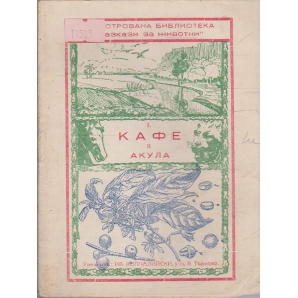 Кафе - Акула