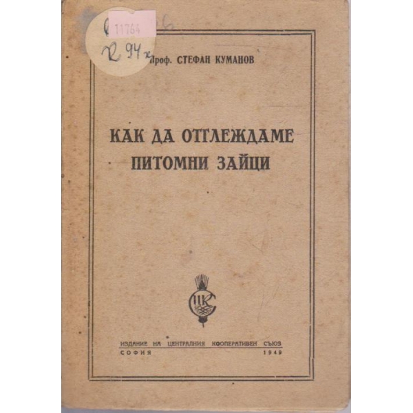 Как да отглеждаме питомни зайци
