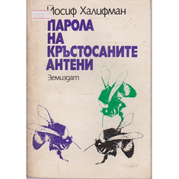 Най-големите кораби